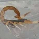 WhatsApp Image 2025-01-09 at 11.47.14 (1)