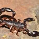 WhatsApp Image 2025-01-09 at 11.47.14