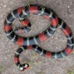 WhatsApp Image 2025-01-09 at 11.47.15